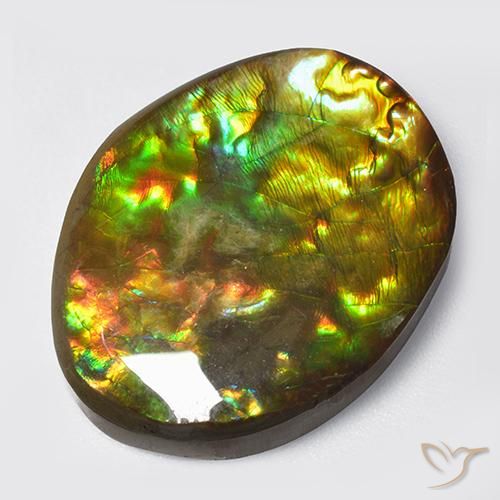 14.70ct 자연스러운 다색 암몰라이트, 팬시한, 불투명체