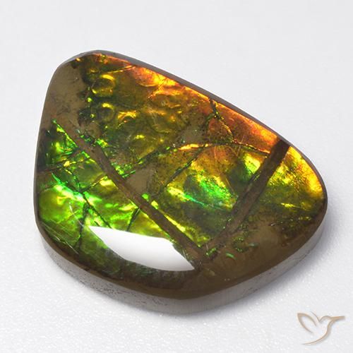 13.40ct 자연스러운 다색 암몰라이트, 팬시한, 불투명체