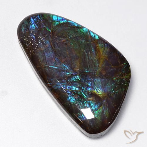 18.97ct 자연스러운 다색 암몰라이트, 팬시한, 불투명체