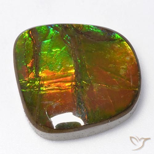 13.06ct 자연스러운 다색 암몰라이트, 팬시한, 불투명체