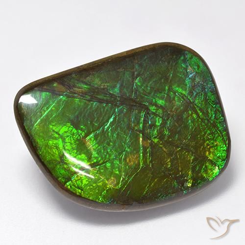 19.75ct 자연스러운 다색 암몰라이트, 팬시한, 불투명체