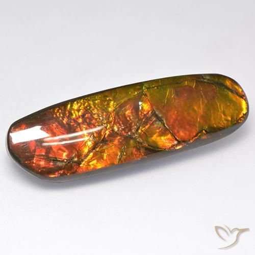 18.52ct 자연스러운 다색 암몰라이트, 팬시한, 불투명체
