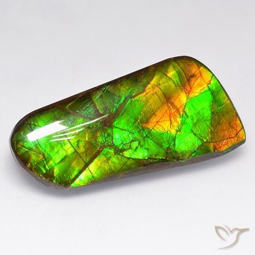 16.18ct 자연스러운 다색 암몰라이트, 팬시한, 불투명체