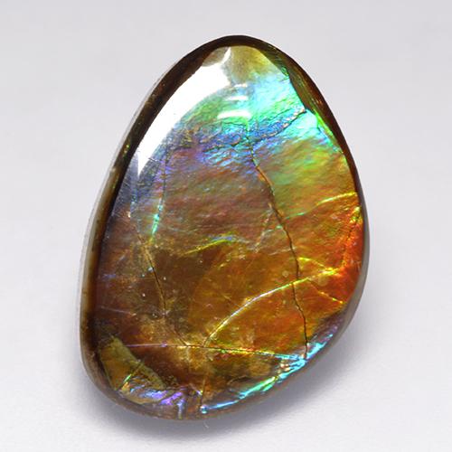 14.52캐럿 천연 멀티컬러 암몰라이트, 멋진 모양, 20.8×15 mm, 불투명체