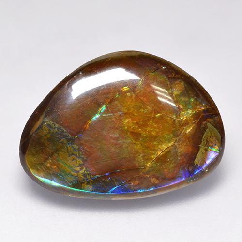 14.52캐럿 천연 멀티컬러 암몰라이트, 멋진 모양, 20.8×15 mm, 불투명체