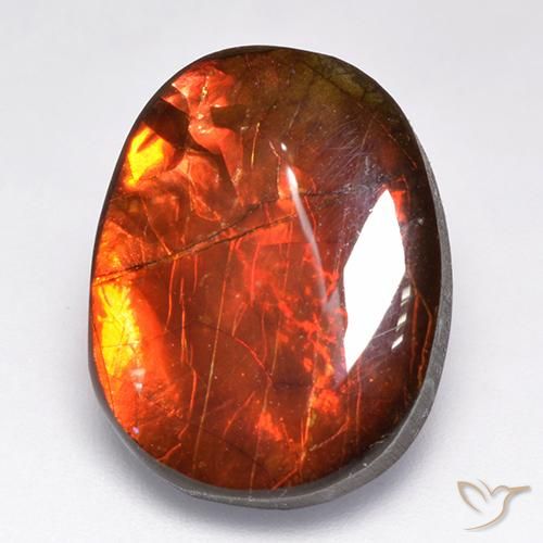 12.19ct 자연스러운 다색 암몰라이트, 팬시한, 불투명체