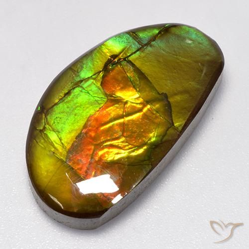 13.86ct 자연스러운 다색 암몰라이트, 팬시한, 불투명체