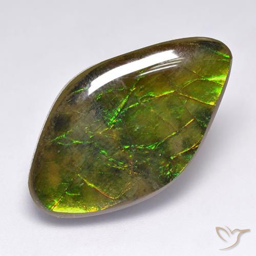 14.12ct 자연스러운 다색 암몰라이트, 팬시한, 불투명체