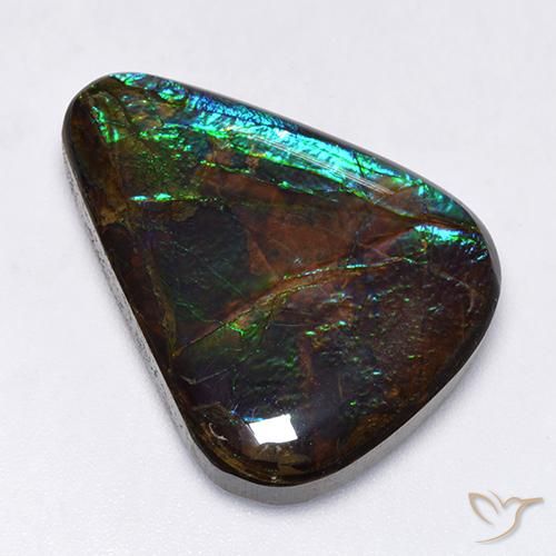 17.25ct 자연스러운 다색 암몰라이트, 팬시한, 불투명체