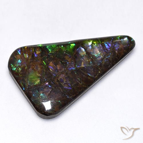 17.65ct 자연스러운 다색 암몰라이트, 팬시한, 불투명체