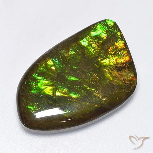 18.89ct 자연스러운 다색 암몰라이트, 팬시한, 불투명체
