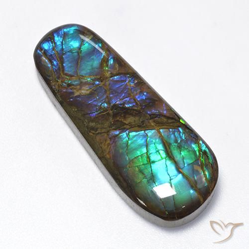16.62ct 자연스러운 다색 암몰라이트, 팬시한, 불투명체