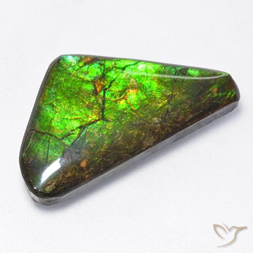 10.43ct 자연스러운 다색 암몰라이트, 팬시한, 불투명체