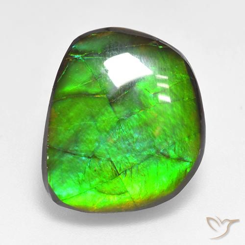 10.59ct 자연스러운 다색 암몰라이트, 팬시한, 불투명체