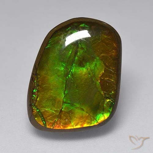 10.83ct 자연스러운 다색 암몰라이트, 팬시한, 불투명체