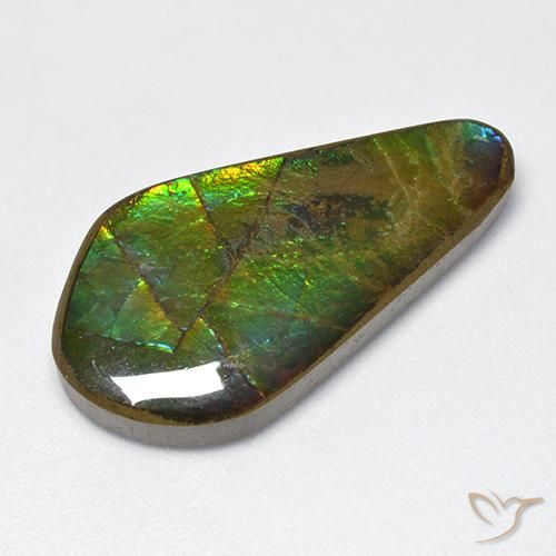 15.47ct 자연스러운 다색 암몰라이트, 팬시한, 불투명체
