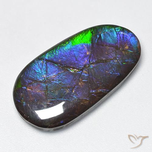 16.63ct 자연스러운 다색 암몰라이트, 팬시한, 불투명체