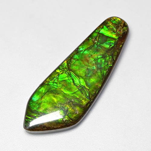 25.04캐럿 천연 멀티컬러 암몰라이트, 멋진 모양, 41×14.7 mm, 불투명체
