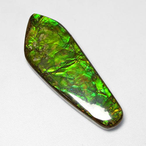 25.04캐럿 천연 멀티컬러 암몰라이트, 멋진 모양, 41×14.7 mm, 불투명체