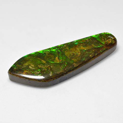 25.04캐럿 천연 멀티컬러 암몰라이트, 멋진 모양, 41×14.7 mm, 불투명체