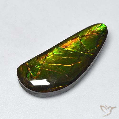 10.60ct 자연스러운 다색 암몰라이트, 팬시한, 불투명체