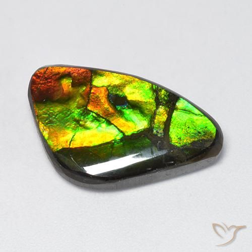 11.50ct 자연스러운 다색 암몰라이트, 팬시한, 불투명체