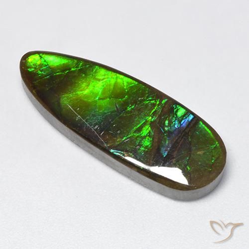 12.78ct 자연스러운 다색 암몰라이트, 팬시한, 불투명체