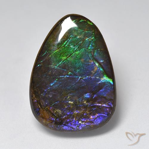 17.96ct 자연스러운 다색 암몰라이트, 팬시한, 불투명체