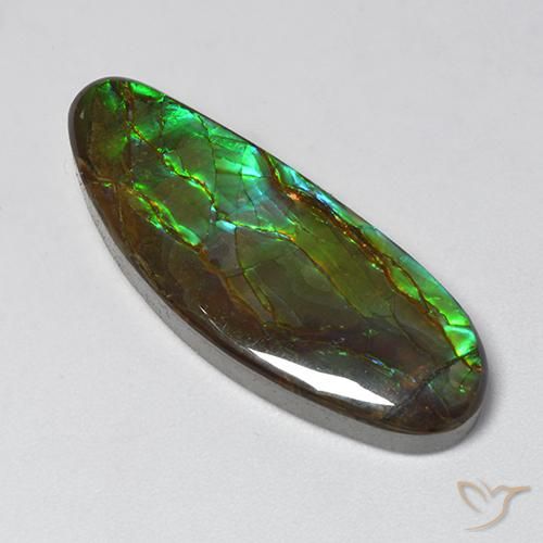 18.94ct 자연스러운 다색 암몰라이트, 팬시한, 불투명체