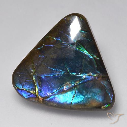 15.09ct 자연스러운 다색 암몰라이트, 팬시한, 불투명체