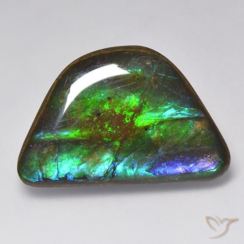 15.86ct 자연스러운 다색 암몰라이트, 팬시한, 불투명체