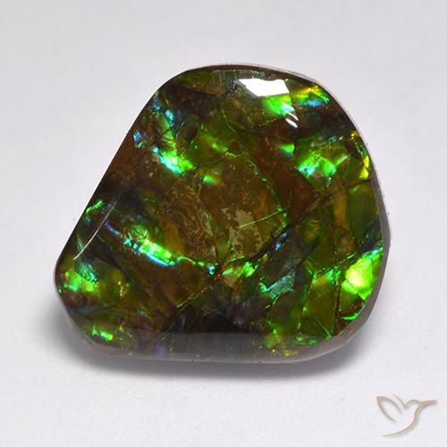 15.50ct 자연스러운 다색 암몰라이트, 팬시한, 불투명체
