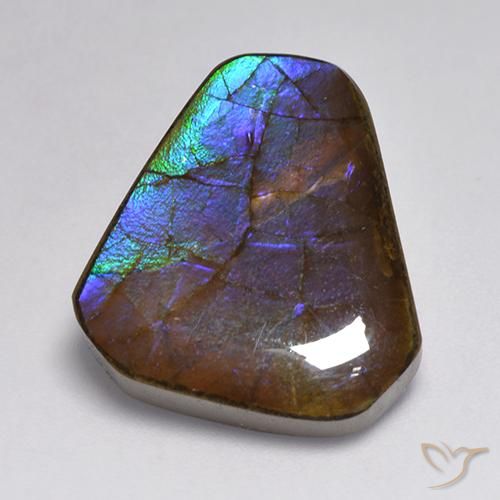 13.95ct 자연스러운 다색 암몰라이트, 팬시한, 불투명체