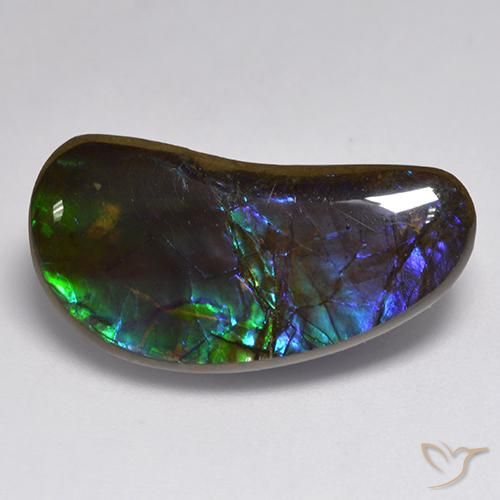 14.55ct 자연스러운 다색 암몰라이트, 팬시한, 불투명체