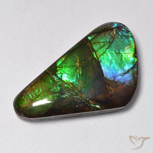 13.85ct 자연스러운 다색 암몰라이트, 팬시한, 불투명체