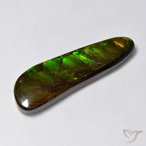 14.88ct 자연스러운 다색 암몰라이트, 팬시한, 불투명체