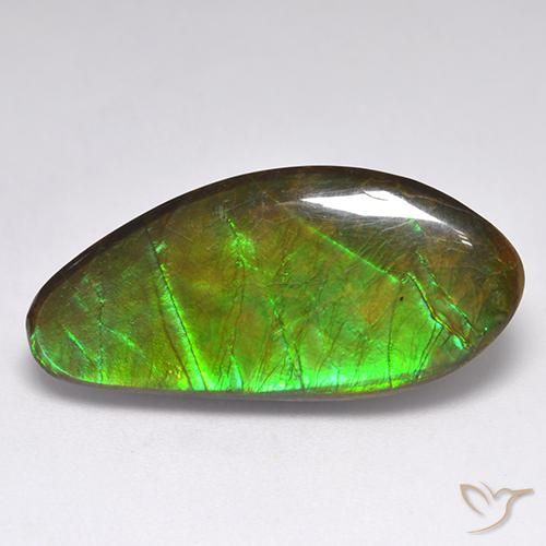 15.77ct 자연스러운 다색 암몰라이트, 팬시한, 불투명체