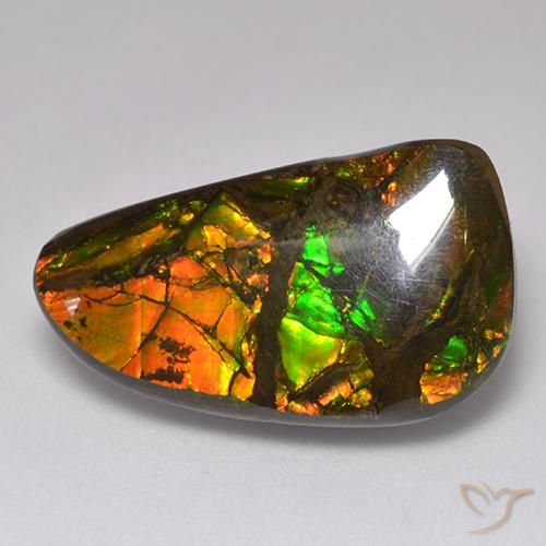 13.48ct 자연스러운 다색 암몰라이트, 팬시한, 불투명체