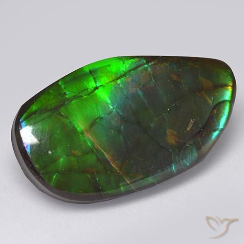 13.66ct 자연스러운 다색 암몰라이트, 팬시한, 불투명체
