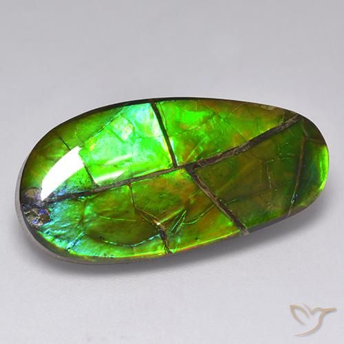 17.05캐럿 천연 멀티컬러 암몰라이트, 멋진 모양, 27×13.5 mm, 불투명체