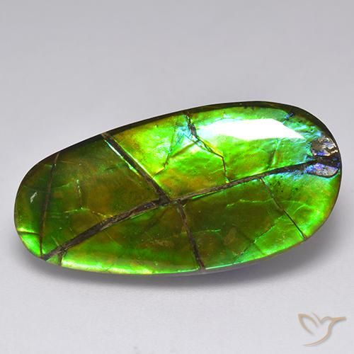 17.05캐럿 천연 멀티컬러 암몰라이트, 멋진 모양, 27×13.5 mm, 불투명체