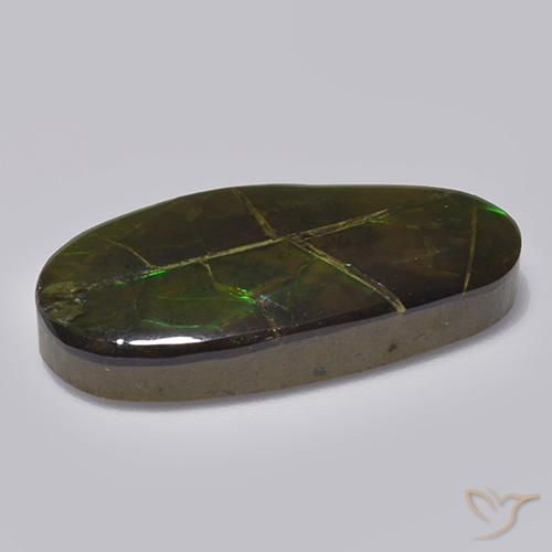 17.05캐럿 천연 멀티컬러 암몰라이트, 멋진 모양, 27×13.5 mm, 불투명체
