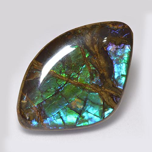 18.11캐럿 천연 멀티컬러 암몰라이트, 멋진 모양, 26.8×17.7 mm, 불투명체