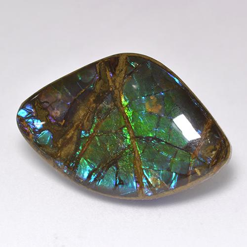 18.11캐럿 천연 멀티컬러 암몰라이트, 멋진 모양, 26.8×17.7 mm, 불투명체