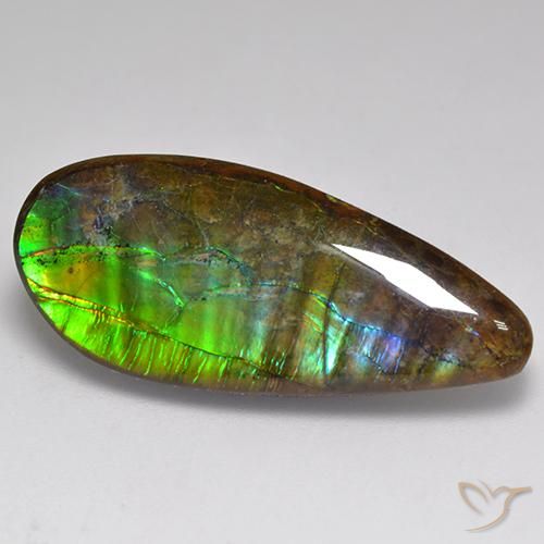 20.06ct 자연스러운 다색 암몰라이트, 팬시한, 불투명체