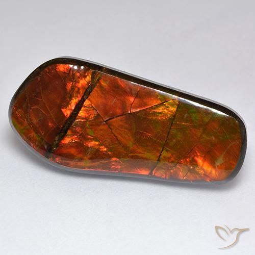 15.53ct 자연스러운 다색 암몰라이트, 팬시한, 불투명체
