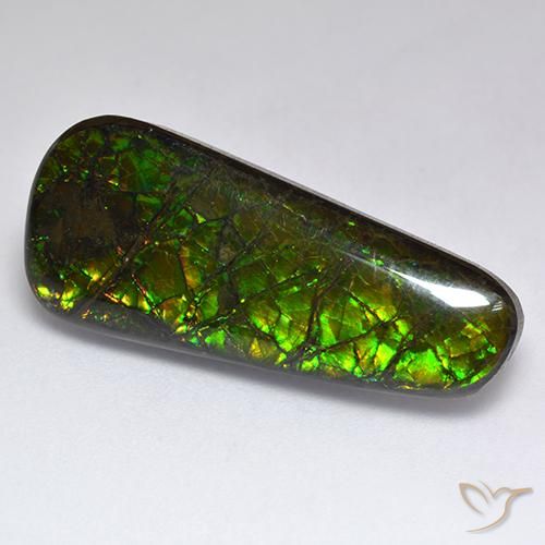 17.04ct 자연스러운 다색 암몰라이트, 팬시한, 불투명체