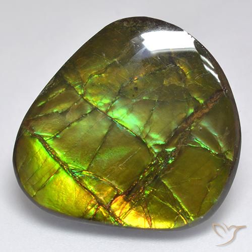 18.81ct 자연스러운 다색 암몰라이트, 팬시한, 불투명체