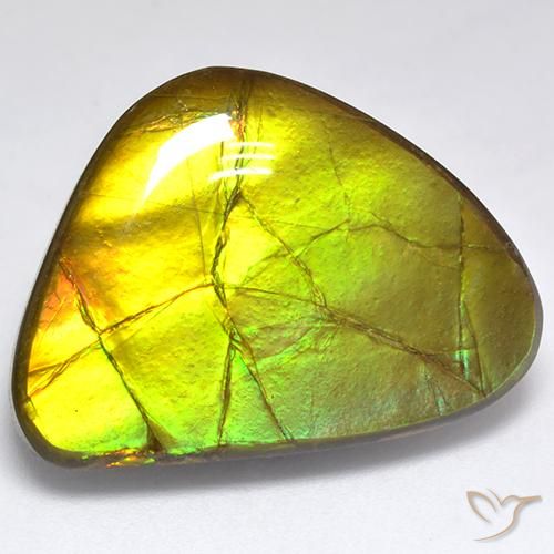 19.06ct 자연스러운 다색 암몰라이트, 팬시한, 불투명체