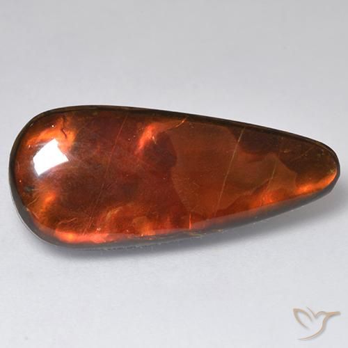 13.57ct 자연스러운 다색 암몰라이트, 팬시한, 불투명체